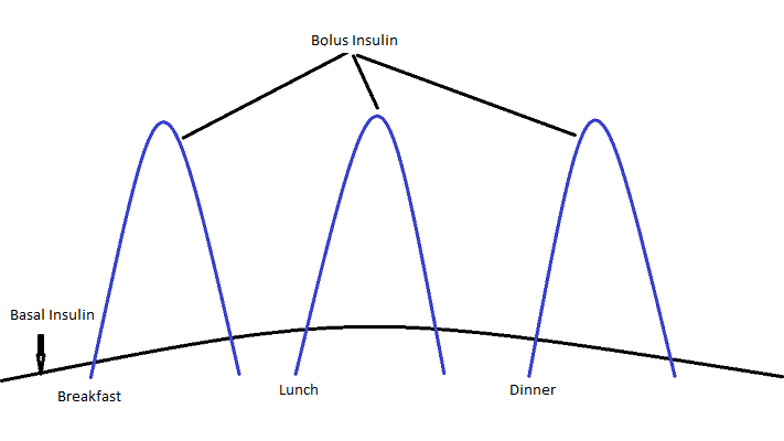 Figure 2. Insulin Proifles