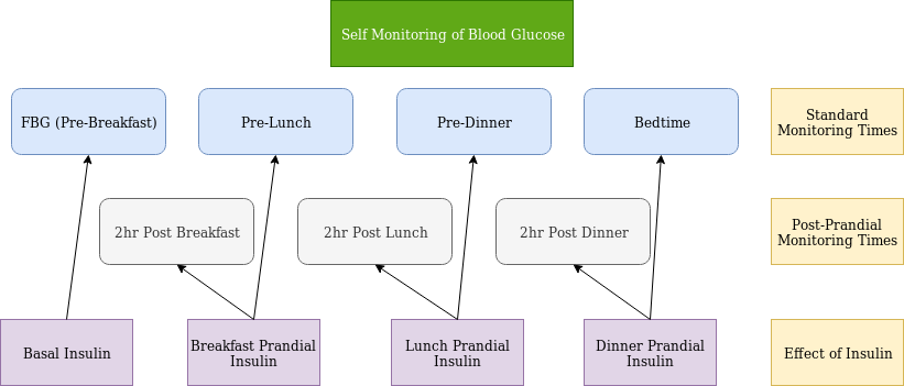 Figure 1. SMBG